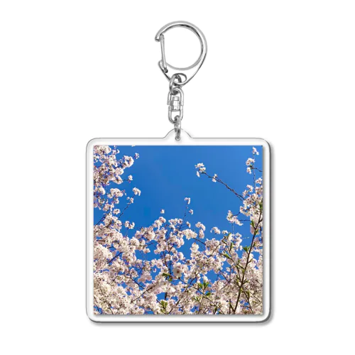 手の中の桜 Acrylic Key Chain