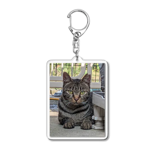 さくら猫のCHAR(シャア) Acrylic Key Chain