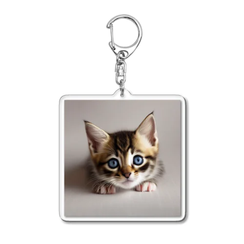 😺癒し猫シリーズ💖 Acrylic Key Chain