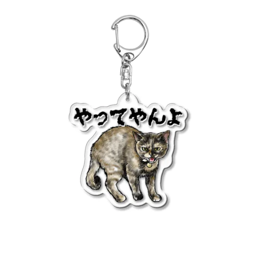 サビ猫のやんのかステップ Acrylic Key Chain