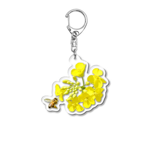 蜜蜂（ミツバチ）と菜の花（アブラナ） Acrylic Key Chain