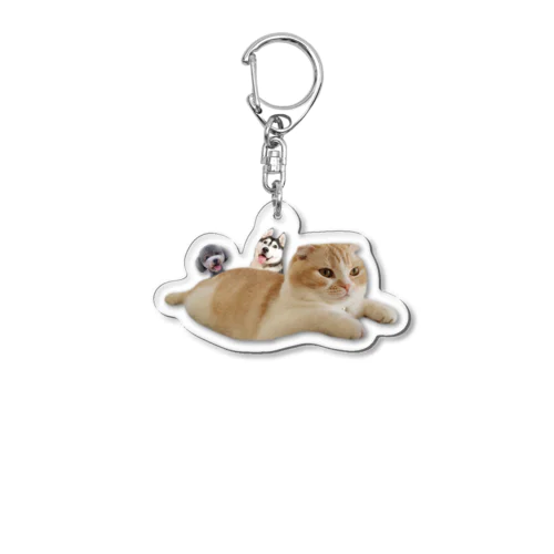 キーホルダー　空飛ぶ猫と犬 Acrylic Key Chain