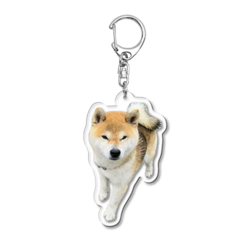 しばいぬ Acrylic Key Chain