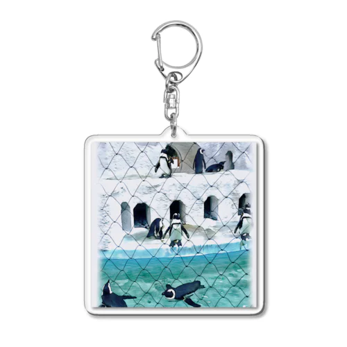 可愛いペンギン Acrylic Key Chain