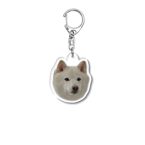 珍しく可愛いおまめしば Acrylic Key Chain