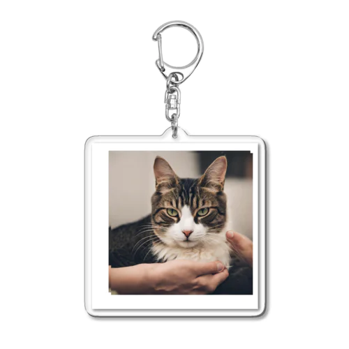 癒しの猫グッズ♪ Acrylic Key Chain