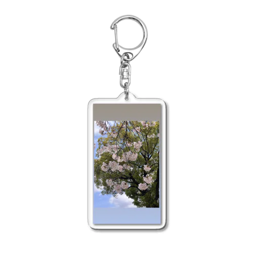 桜 Acrylic Key Chain