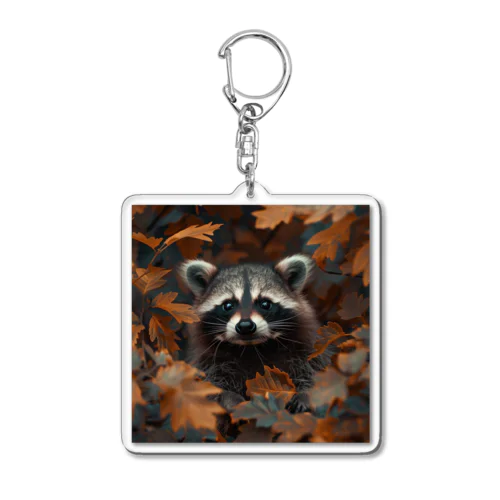 Raccoon Cool Planet Acrylic Key Chain