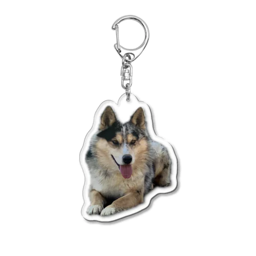 保護犬達の楽園シュンくん Acrylic Key Chain