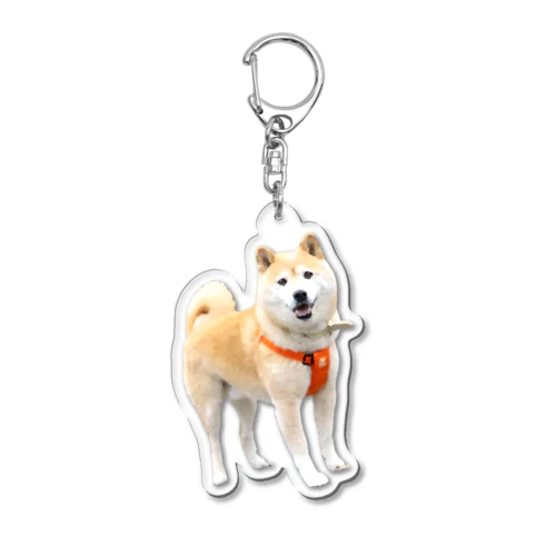 お相撲さん inu Lv.10 Acrylic Key Chain