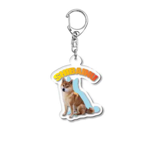 SHIBAINU（ソラくん）おすわり Acrylic Key Chain