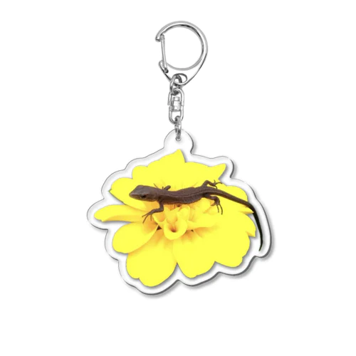 たんぽぽとカナヘビ Acrylic Key Chain