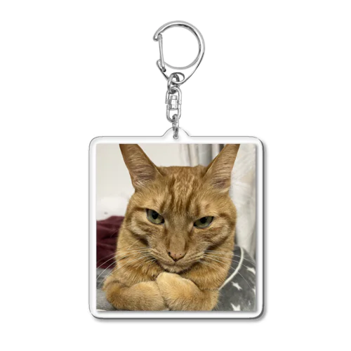 猫好きトラくんのキーホルダー Acrylic Key Chain