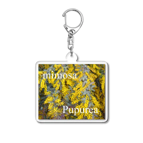 Mimosa　Pupurea Acrylic Key Chain