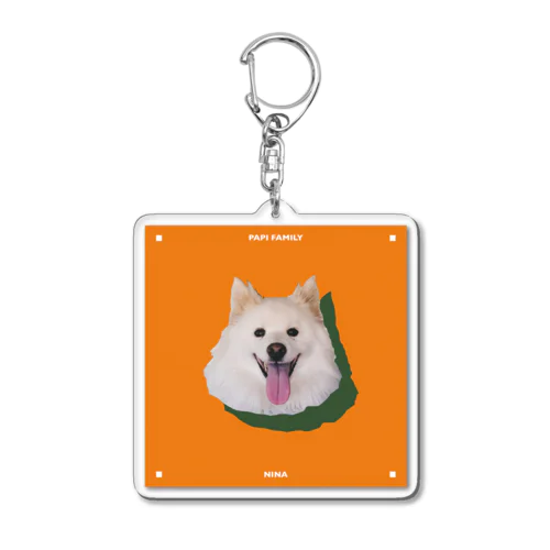 ninaさん専用🌿🍊 Acrylic Key Chain