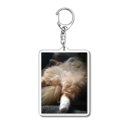 mofumofu Acrylic Key Chain