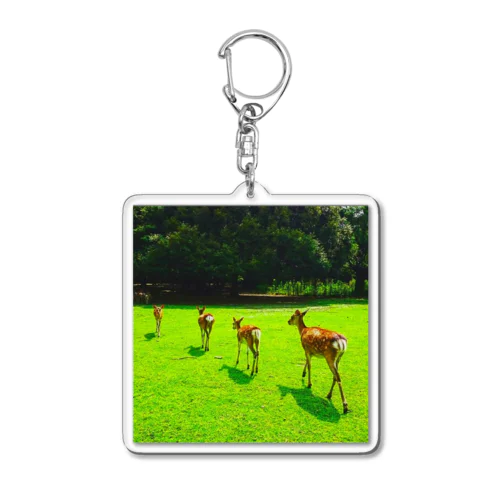 奈良公園の鹿が変える姿 Acrylic Key Chain