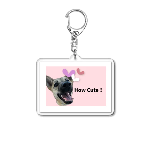 How Cute! Canvas! Acrylic Key Chain