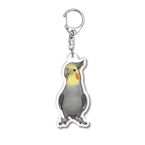 オカメインコ・アクリルキーホルダー・ノーマル男子１ Acrylic Key Chain