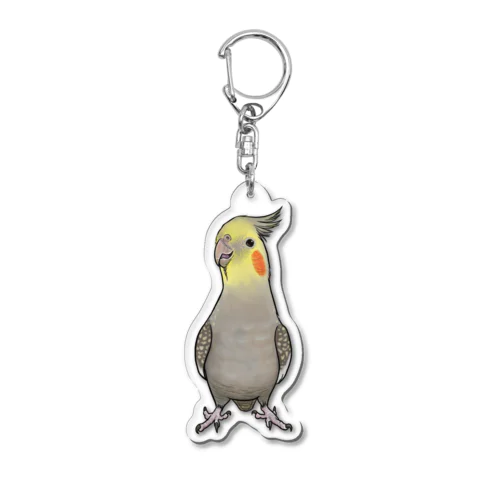 オカメインコ・アクリルキーホルダー・シナモンパール女子１ Acrylic Key Chain