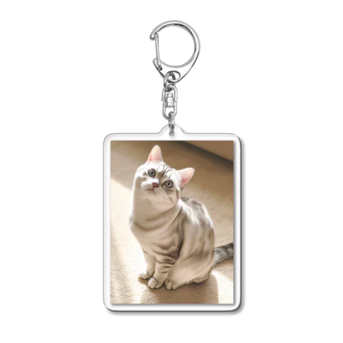 美人な猫  1477 Acrylic Key Chain