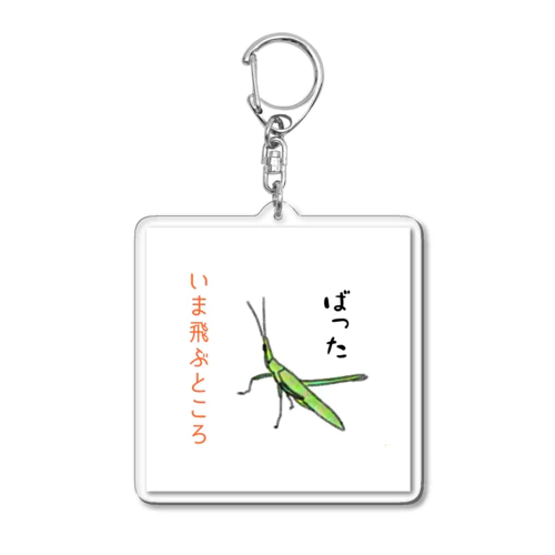 しんぼるず→ばった Acrylic Key Chain