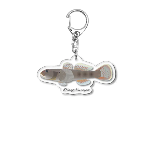 シマヒレヨシノボリ Acrylic Key Chain