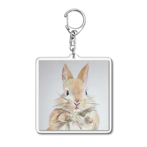 【色鉛筆画】うさぎさん🐰 Acrylic Key Chain