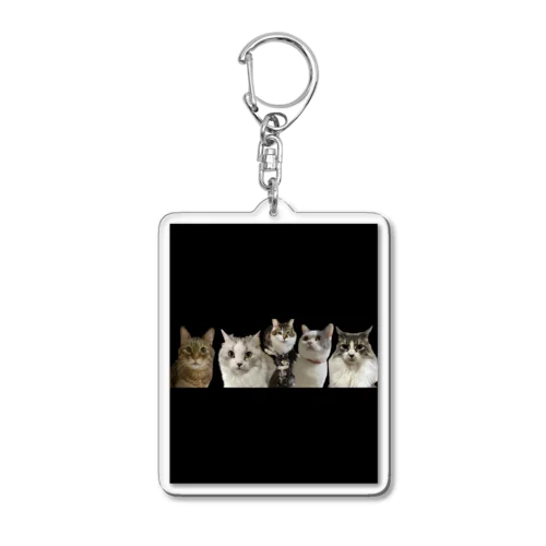 ねこそらこうめひめじじしずく Acrylic Key Chain