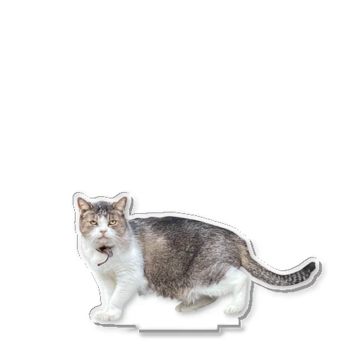造形のおかしい猫 Acrylic Stand