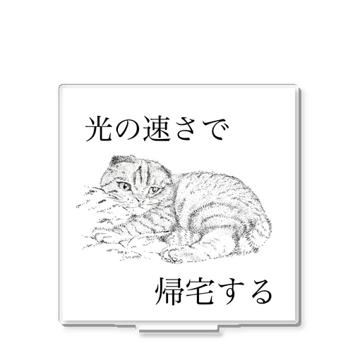 光の速さで帰宅する（ネコ） アクリルスタンド