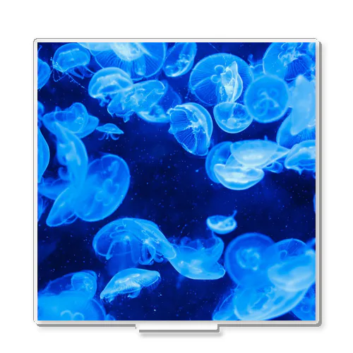 Jellyfish=海月 アクリルスタンド