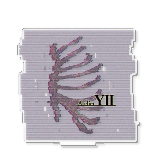 rib cage Acrylic Stand