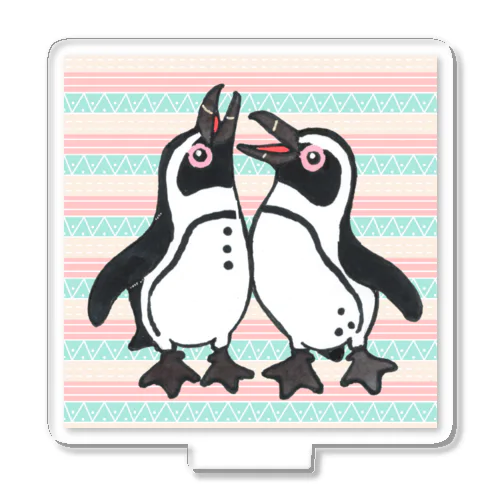 仲良く鳴き合うケープペンギン🐧背景ありB Acrylic Stand