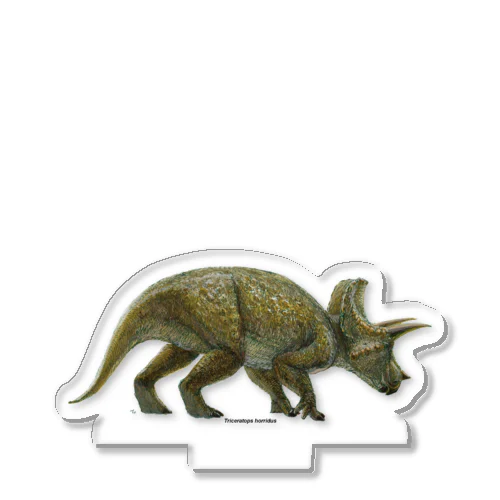 Triceratops horridus(トリケラトプス ・ホリドゥス)着彩画 アクリルスタンド