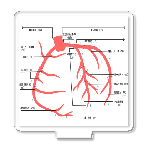 とにかく冠動脈！ アクリルスタンド