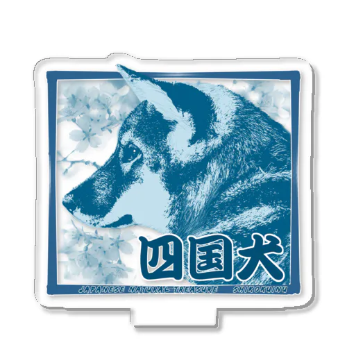 天然記念物 四国犬ちゃん ─Japanese natural treasure Shikoku dog ─ Acrylic Stand