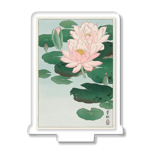 小原古邨　睡蓮　Ohara Koson / Water Lilies Acrylic Stand