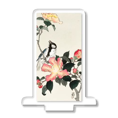 小原古邨　椿に四十雀  Ohara Koson / Great tit on branch with pink flowers  Acrylic Stand