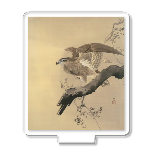 小原古邨　鷹　Ohara Koson / Falcon Acrylic Stand