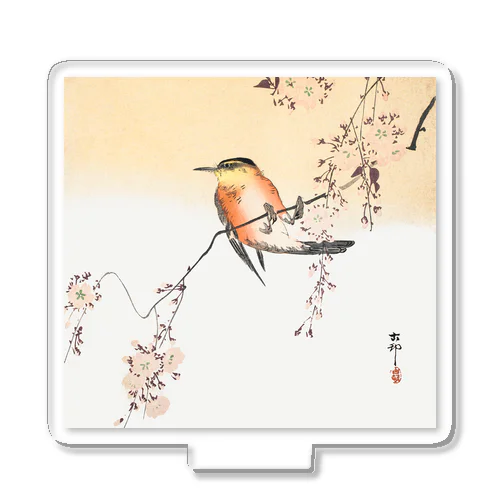 小原古邨　桜と鳥　Ohara Koson 日本のアートTシャツ＆グッズ Acrylic Stand