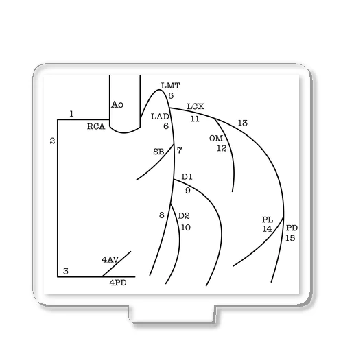 冠動脈ナンバー Acrylic Stand