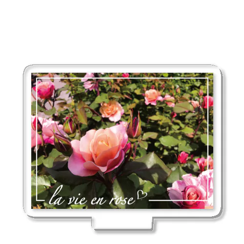 La Vie en rose Ⅱ Acrylic Stand