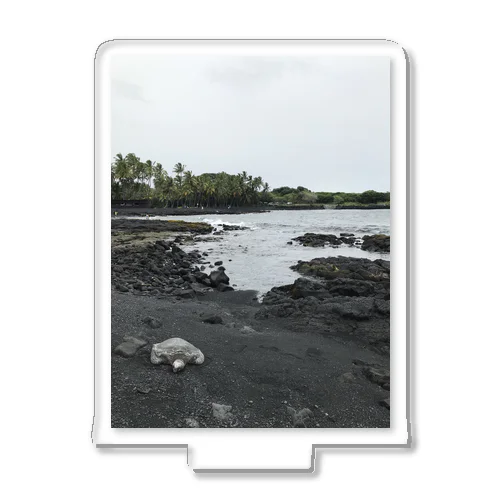ハワイ島 ブラックビーチとウミガメ Acrylic Stand
