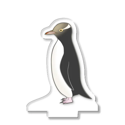 【寄付】キガシラペンギン Acrylic Stand