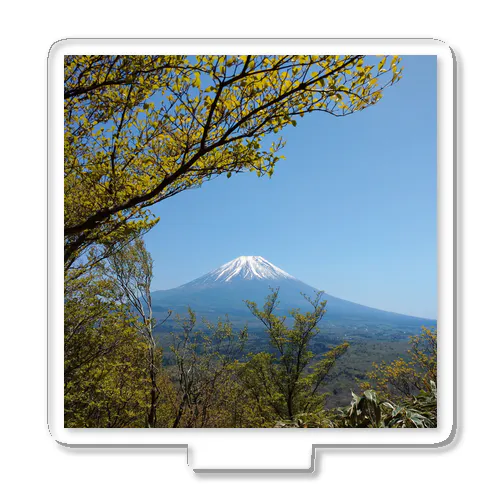 Fujiyama 2 アクリルスタンド