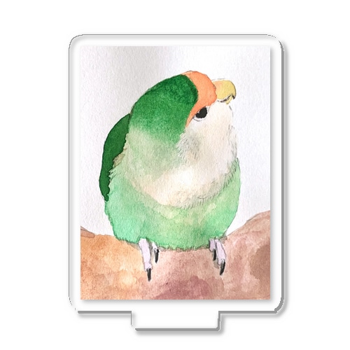 よく聞いてくれるコザクラインコ Acrylic Stand