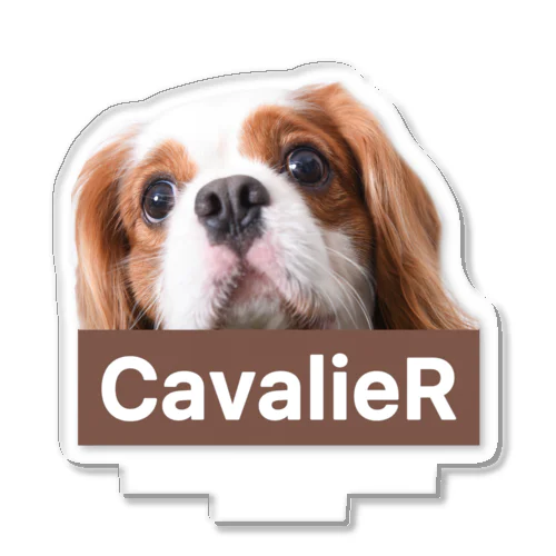 CavalieR キャバリア アクリルスタンド