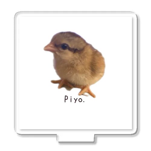 Piyo. アクリルスタンド