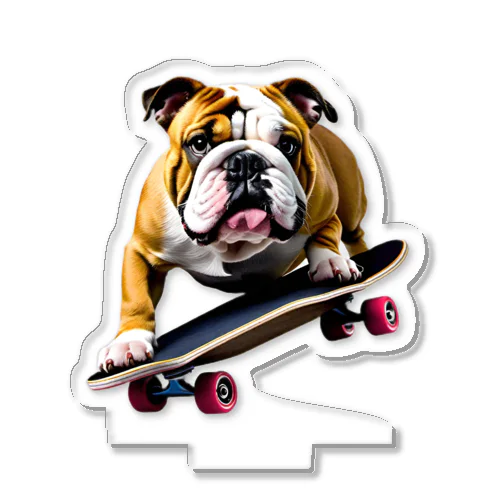 English bulldog riding a skateboard アクリルスタンド